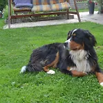 Sonnenchalet 1 Im Salzburger Lungau Horská chata Mariapfarr