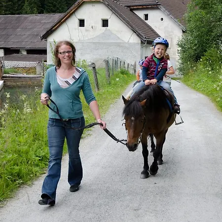 شاليه Sonnenchalet 1 Im Salzburger Lungau ماريابفار